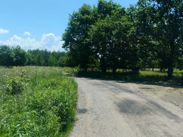 Działka Przeginia Narodowa