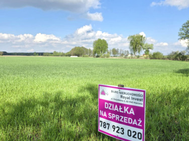 Działka rekreacyjna Skrzynka