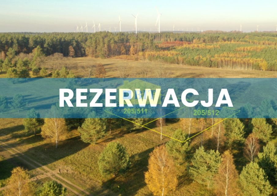 Działka siedliskowa Dołgie