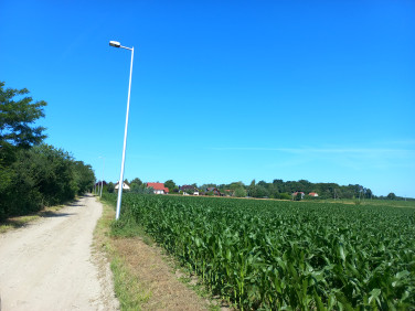 Działka Brzezina