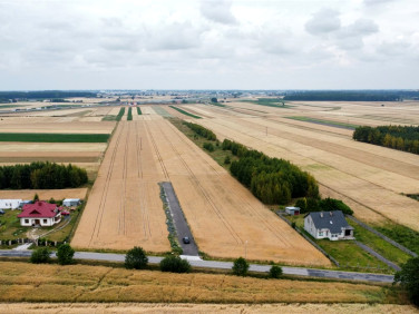 Działka Bujny