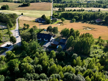 Dom Leonardów