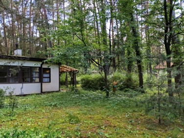 Działka budowlana Sokolniki-Las
