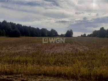 Działka siedliskowa Jaworznik