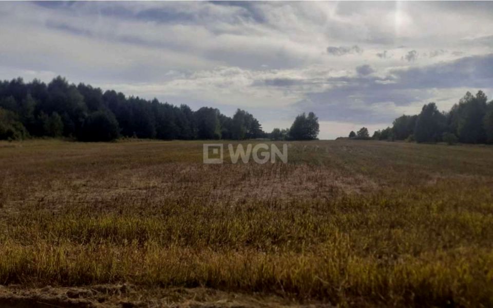 Działka siedliskowa Jaworznik