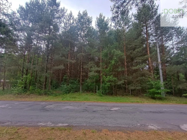 Działka Kolonia Karczmy