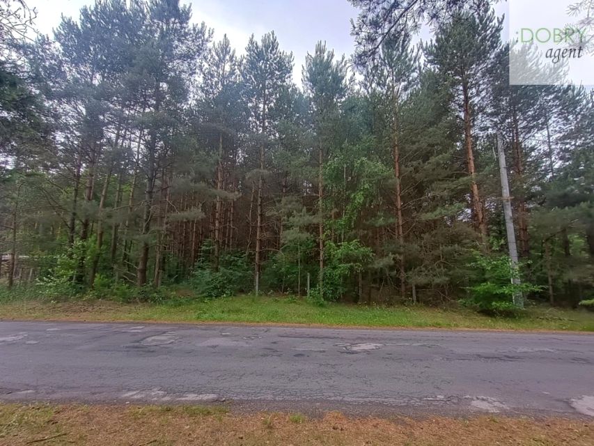 Działka Kolonia Karczmy