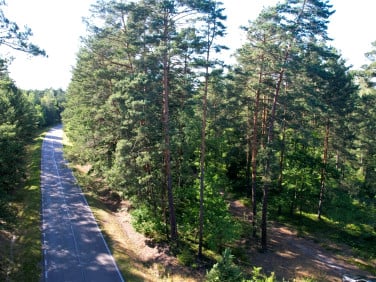 Działka leśna Brodziaki