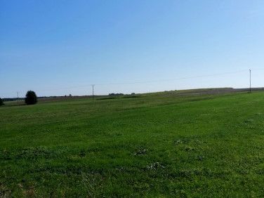 Działka rolna Szreńsk sprzedam