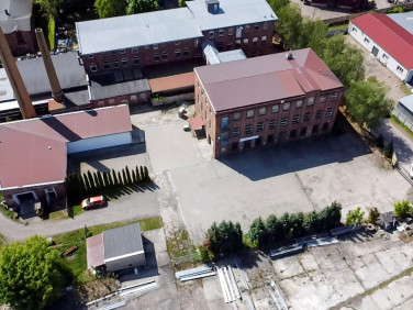 Lokal Nowa Sól