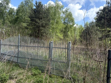Działka Anielin Swędowski
