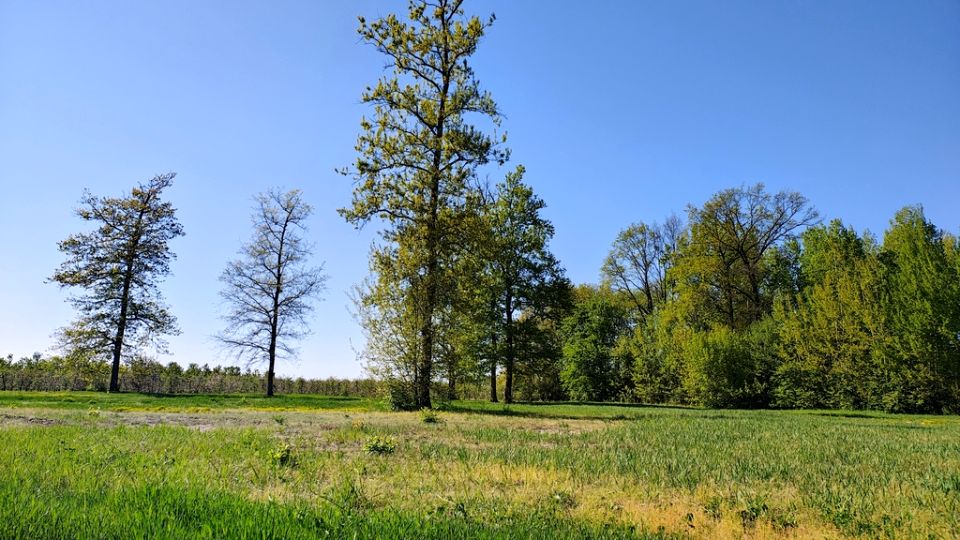 Działka budowlana Mariańskie Porzecze