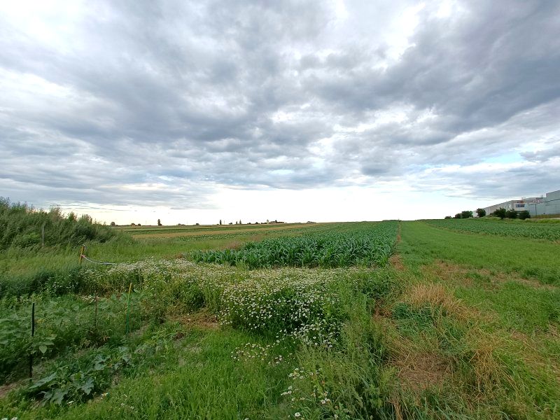 Działka inwestycyjna Przyszowice