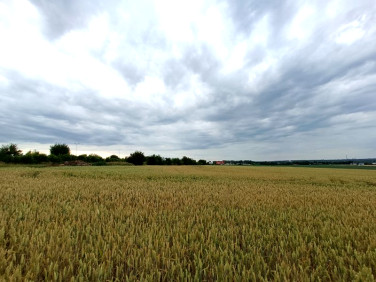Pusta działka Gliwice