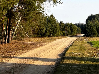Działka rekreacyjna Starowola