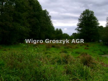 Pusta działka Brzozówka