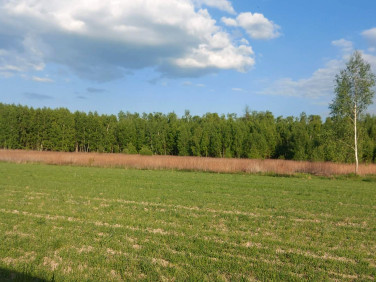 Działka usługowa Wojciechówka sprzedam