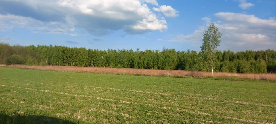 Działka usługowa Wojciechówka sprzedam