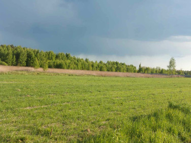 Działka usługowa Wojciechówka