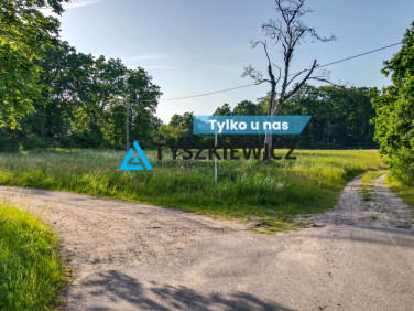 Działka Dychlino