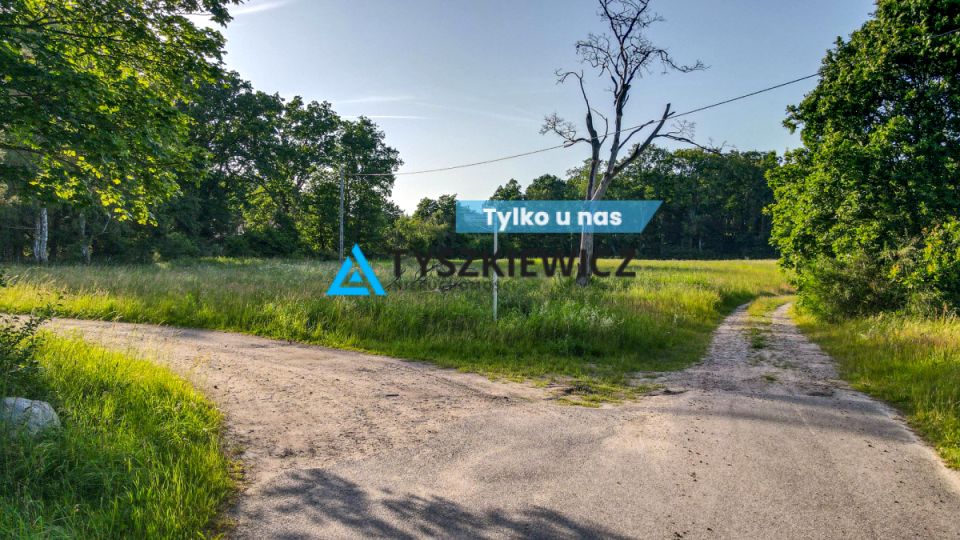 Działka Dychlino
