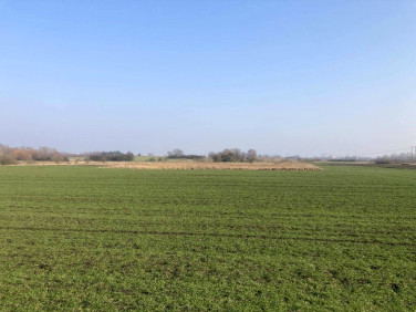 Działka rolna Głazów