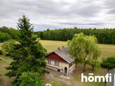 Dom Świerszczów-Kolonia
