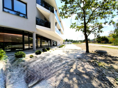 Lokal Warszawa