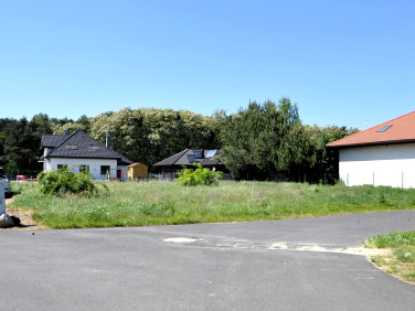 Działka budowlana Golina