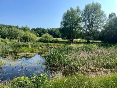 Działka inna Jabłonka Stara