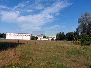 Działka Leoncin