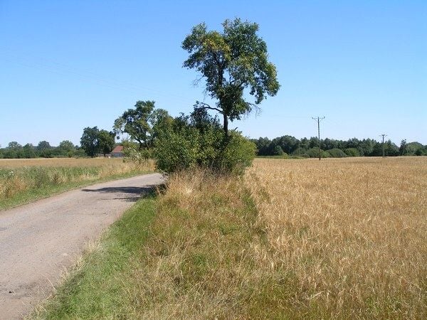 Zdjęcie 3