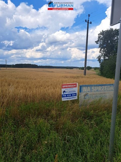 Działka budowlana Sarbia