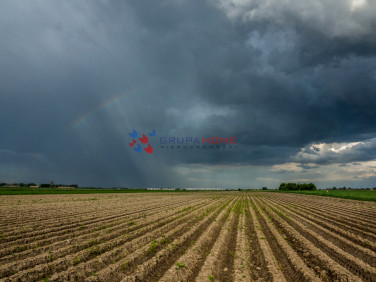 Działka Lesznowola