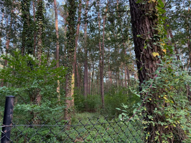 Działka budowlana Sokolniki-Las