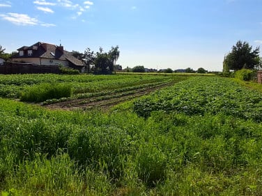 Działka inwestycyjna sprzedam