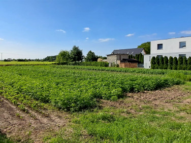 Działka inwestycyjna Kobierzyce