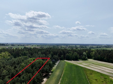 Działka Blizanów