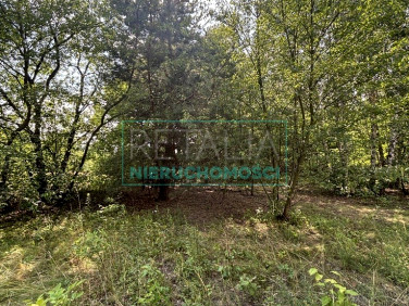 Działka budowlana Chrzanów Mały