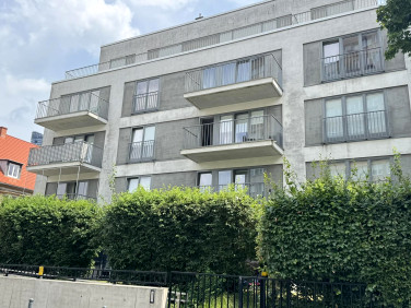 Mieszkanie apartamentowiec wynajem