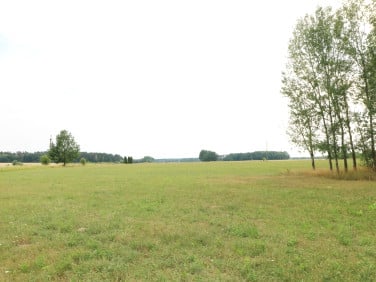 Działka Dobrzyniówka
