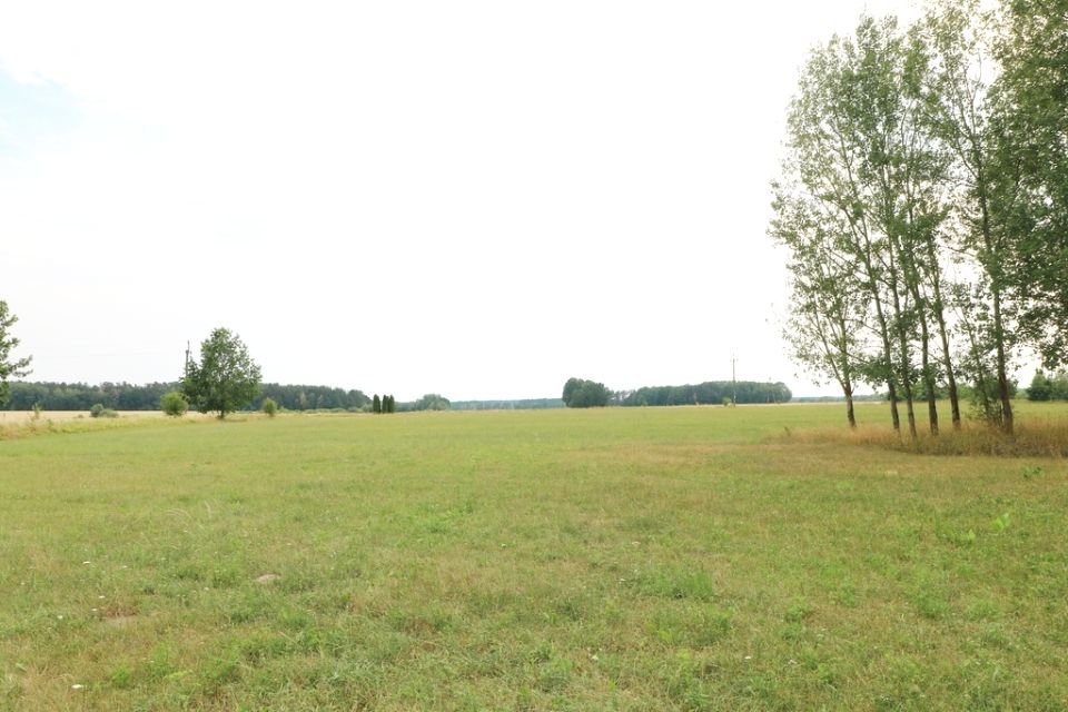 Działka Dobrzyniówka
