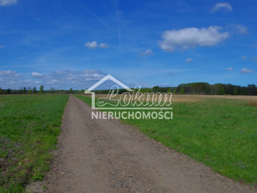 Działka Niedźwiedź