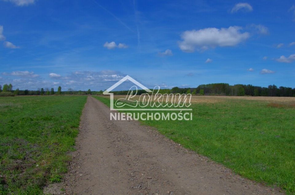 Działka Niedźwiedź