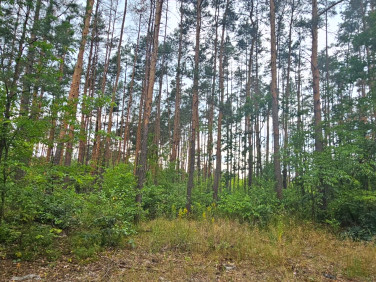 Działka budowlana Józefów