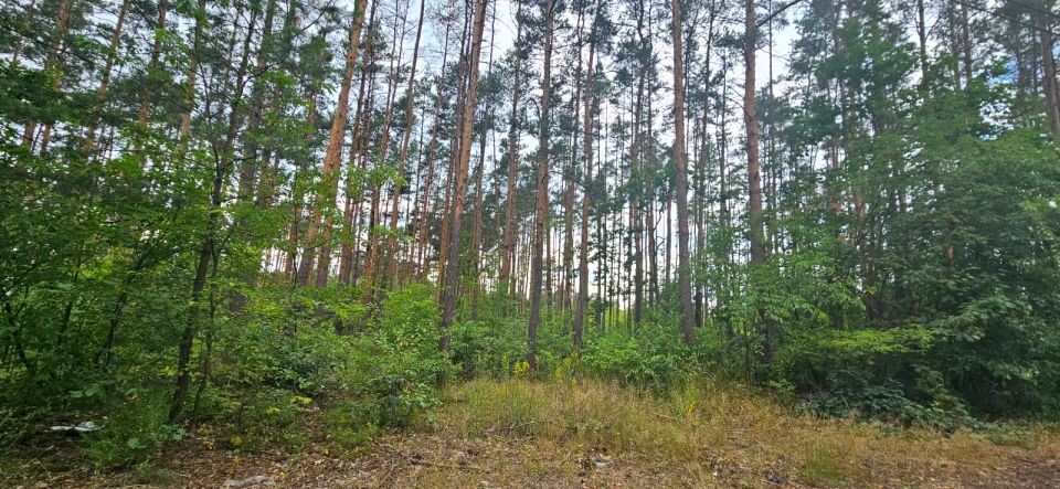 Działka budowlana Józefów