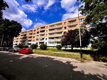 Mieszkanie Łódź