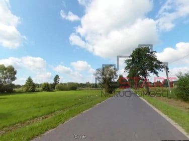 Działka przy lesie