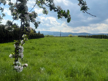 Działka budowlana Mościsko