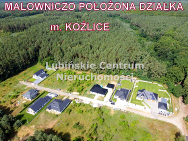 Działka Koźlice